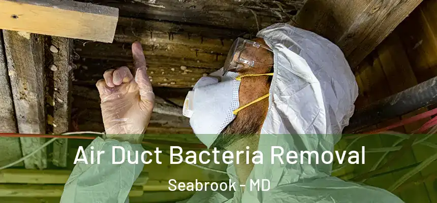  Air Duct Bacteria Removal Seabrook - MD