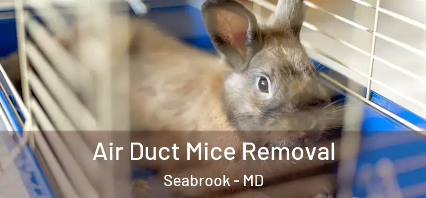  Air Duct Mice Removal Seabrook - MD