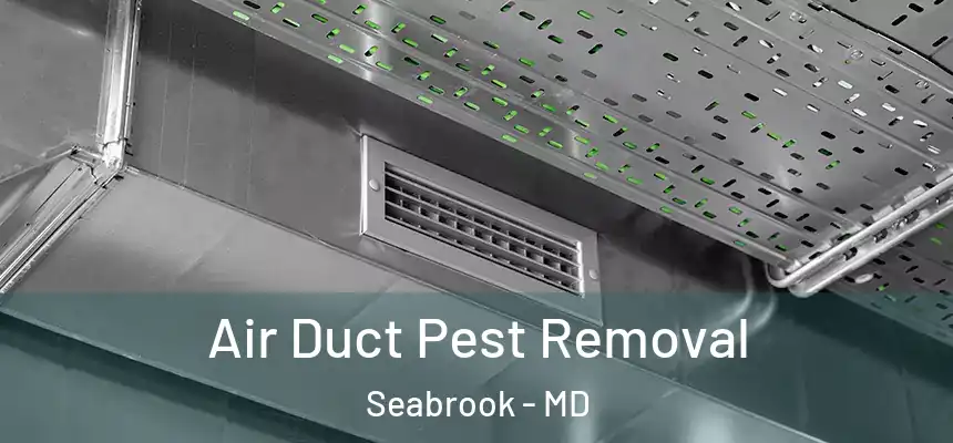  Air Duct Pest Removal Seabrook - MD