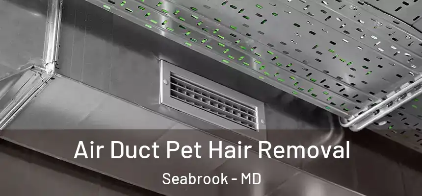  Air Duct Pet Hair Removal Seabrook - MD