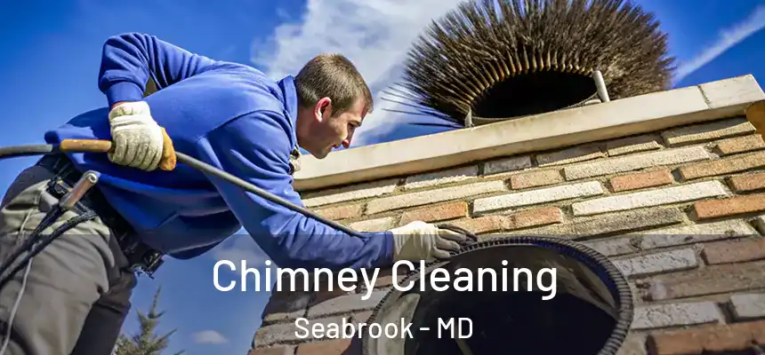  Chimney Cleaning Seabrook - MD