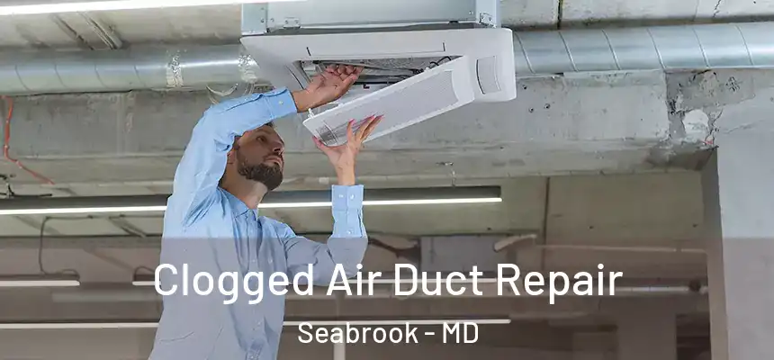  Clogged Air Duct Repair Seabrook - MD