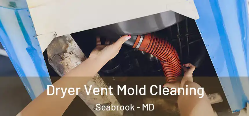  Dryer Vent Mold Cleaning Seabrook - MD