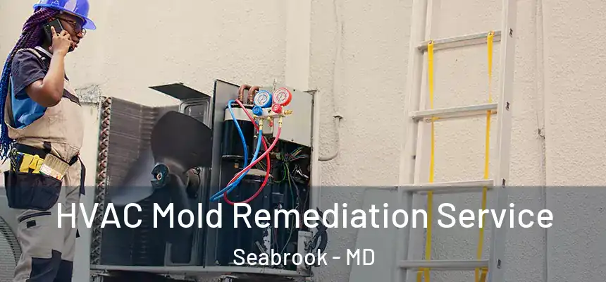  HVAC Mold Remediation Service Seabrook - MD