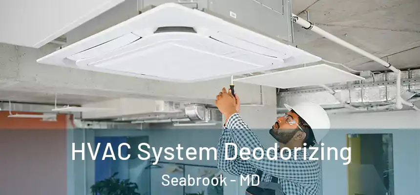  HVAC System Deodorizing Seabrook - MD