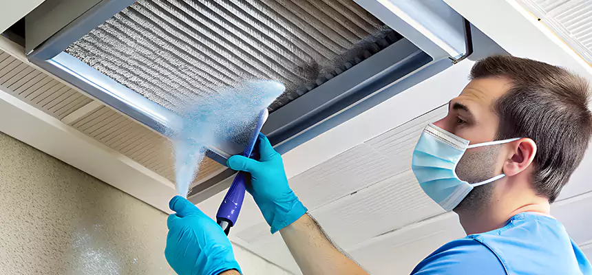 Proactive Dryer Vent & Auxiliary Duct Pollen Cleanup in Seabrook, MD