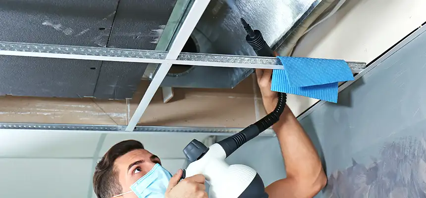 Our Air Duct Rodent Removal Services in Seabrook, MD