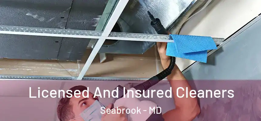  Licensed And Insured Cleaners Seabrook - MD