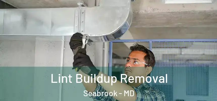  Lint Buildup Removal Seabrook - MD