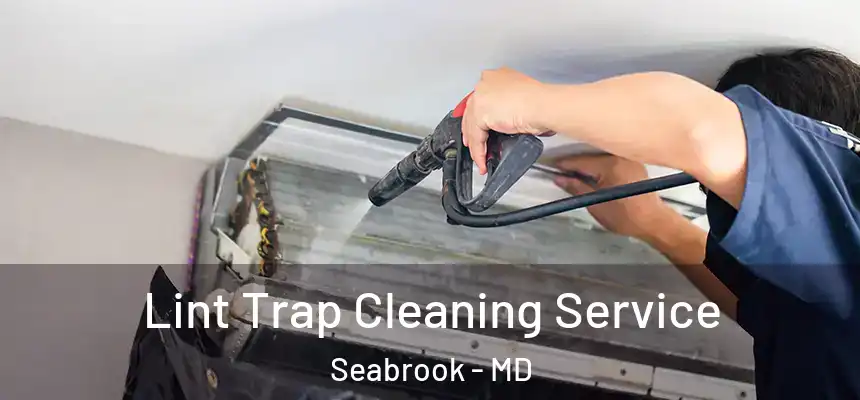  Lint Trap Cleaning Service Seabrook - MD