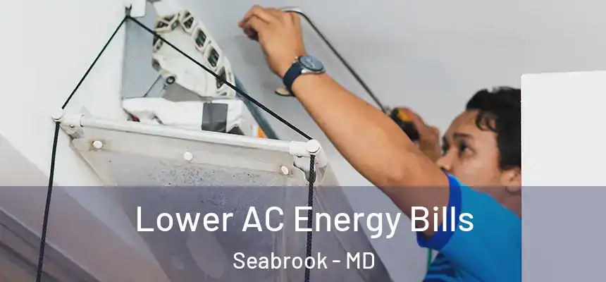  Lower AC Energy Bills Seabrook - MD