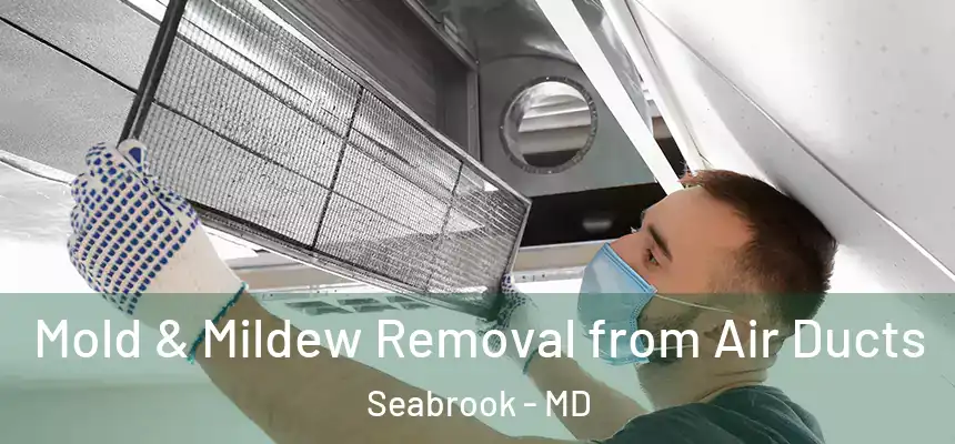  Mold & Mildew Removal from Air Ducts Seabrook - MD