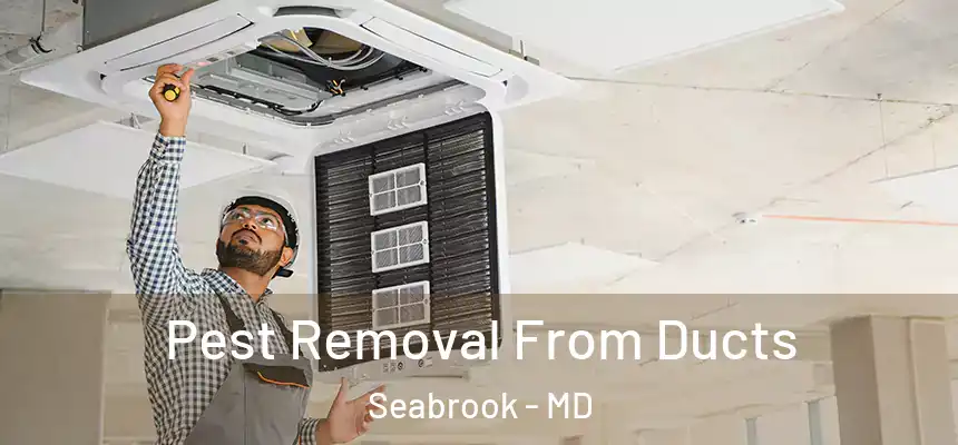  Pest Removal From Ducts Seabrook - MD