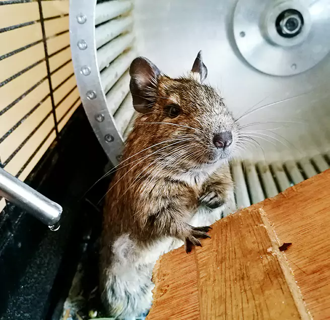 Why Homeowners & Businesses Trust Us Seabrook, MD?