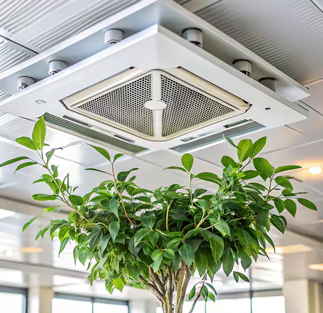 Why Homeowners & Businesses Trust Us in Seabrook, MD