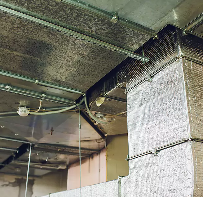 Why Homeowners & Businesses Trust Us in Seabrook, MD?